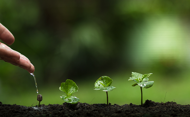 grow and recycle foam